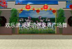 欢乐潇湘美丽张家界广场舞