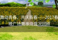 舞动青春，共庆新春——2017春晚广场舞串烧盛况回顾