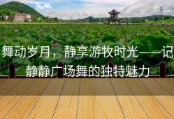 舞动岁月，静享游牧时光——记静静广场舞的独特魅力