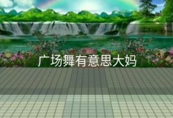 广场舞有意思大妈