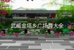 武威金塔乡广场舞大全