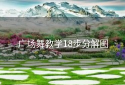 广场舞教学18步分解图