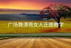 广场舞漂亮女人正面教学