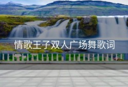 情歌王子双人广场舞歌词