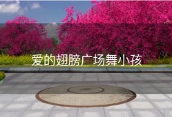 爱的翅膀广场舞小孩