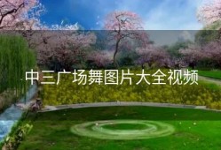 中三广场舞图片大全视频