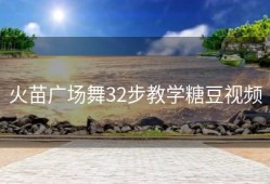 火苗广场舞32步教学糖豆视频
