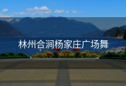 林州合涧杨家庄广场舞