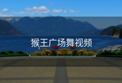 猴王广场舞视频