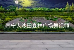 南宁大沙田森林广场舞视频