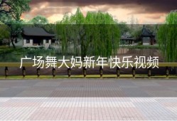 广场舞大妈新年快乐视频