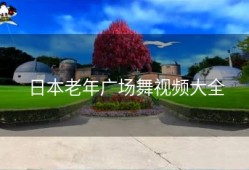 日本老年广场舞视频大全