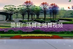 简易广场舞走路舞视频