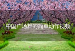 中国广场舞的简单动作视频