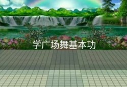 学广场舞基本功