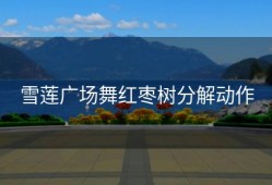 雪莲广场舞红枣树分解动作