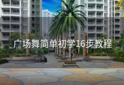 广场舞简单初学16步教程