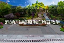 酒醒的蝴蝶原唱广场舞教学
