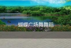 蝴蝶广场舞舞蹈