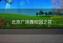 北京广场舞校园之花