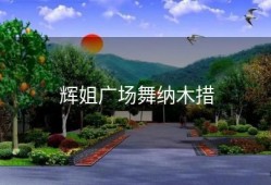 辉姐广场舞纳木措