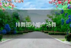 排舞图小姐广场舞