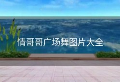 情哥哥广场舞图片大全