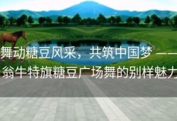 舞动糖豆风采，共筑中国梦 —— 翁牛特旗糖豆广场舞的别样魅力