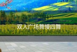 双人广场舞慢四舞