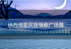 纳西情歌民族情歌广场舞