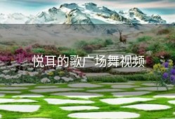 悦耳的歌广场舞视频