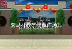 套马杆教学简单广场舞