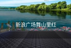 新浪广场舞山里红