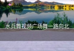 水兵舞视频广场舞一路向北