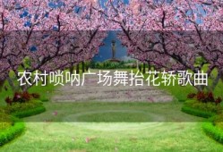 农村唢呐广场舞抬花轿歌曲