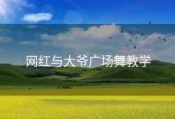 网红与大爷广场舞教学