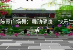陈露广场舞：舞动健康，快乐生活