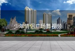 少年情侣广场舞视频