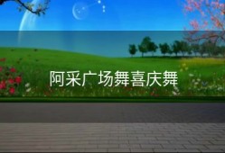 阿采广场舞喜庆舞