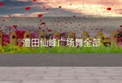 澧田仙峰广场舞全部