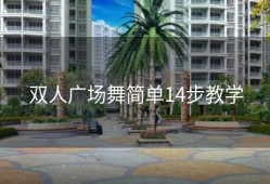 双人广场舞简单14步教学