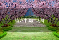 糖豆中国广场舞