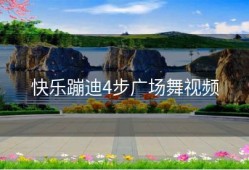 快乐蹦迪4步广场舞视频