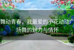 舞动青春，我最爱的小花动动广场舞的魅力与情怀
