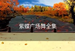 紫蝶广场舞全集