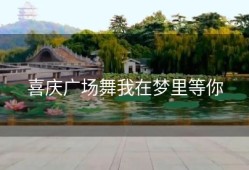 喜庆广场舞我在梦里等你