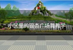 小区里的银杏广场舞教学