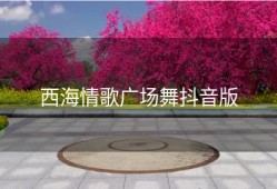 西海情歌广场舞抖音版