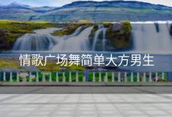 情歌广场舞简单大方男生