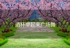 酒杯举起来广场舞